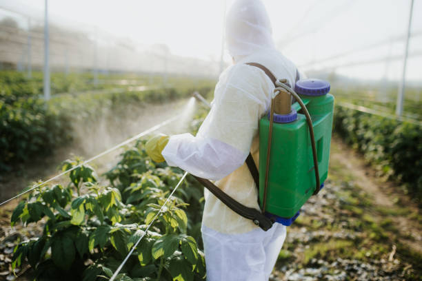 Best Mosquito Control  in Petersburg, VA